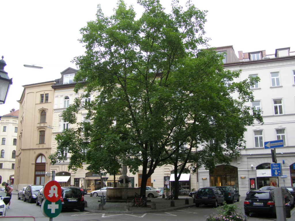 P6280259