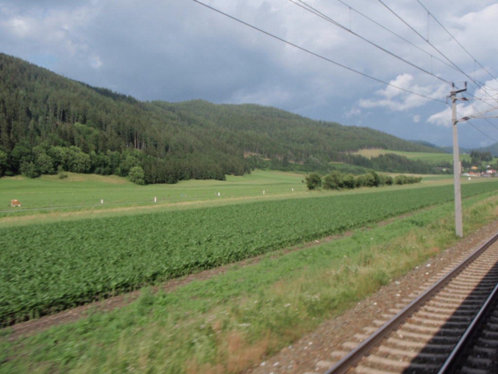P6290583