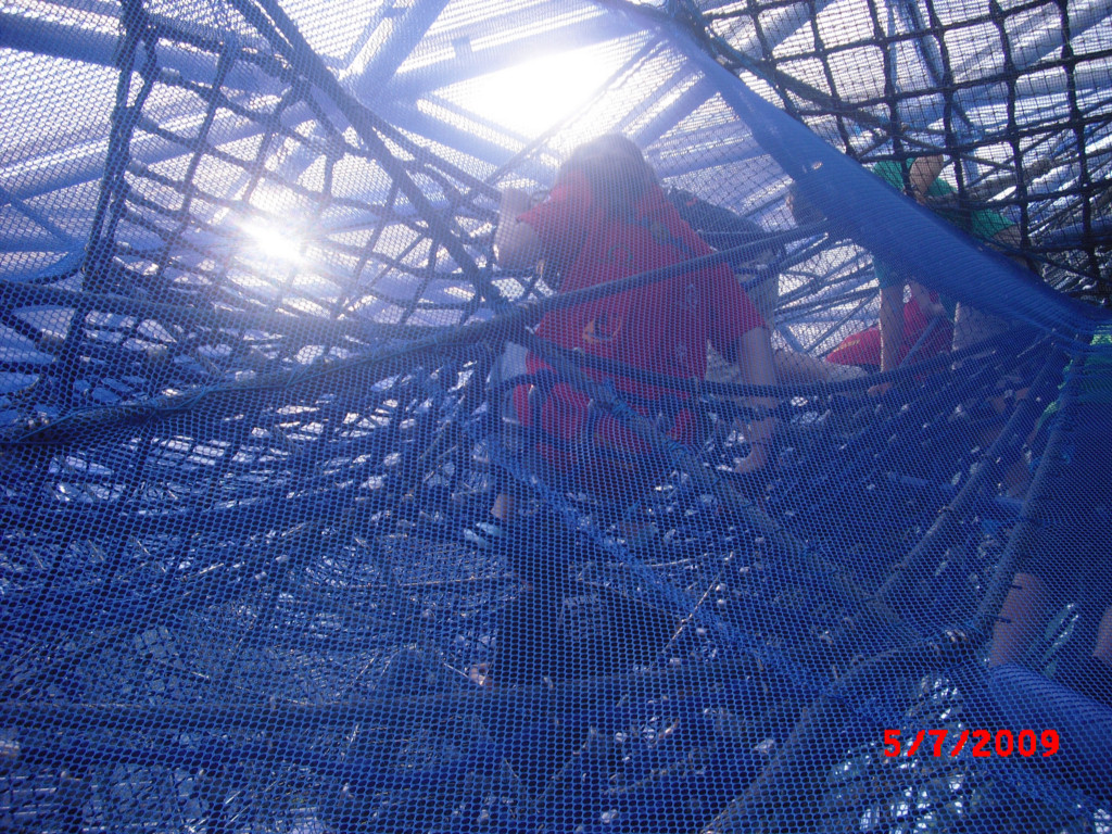P7050272