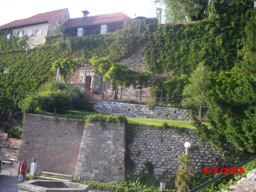 P7050367