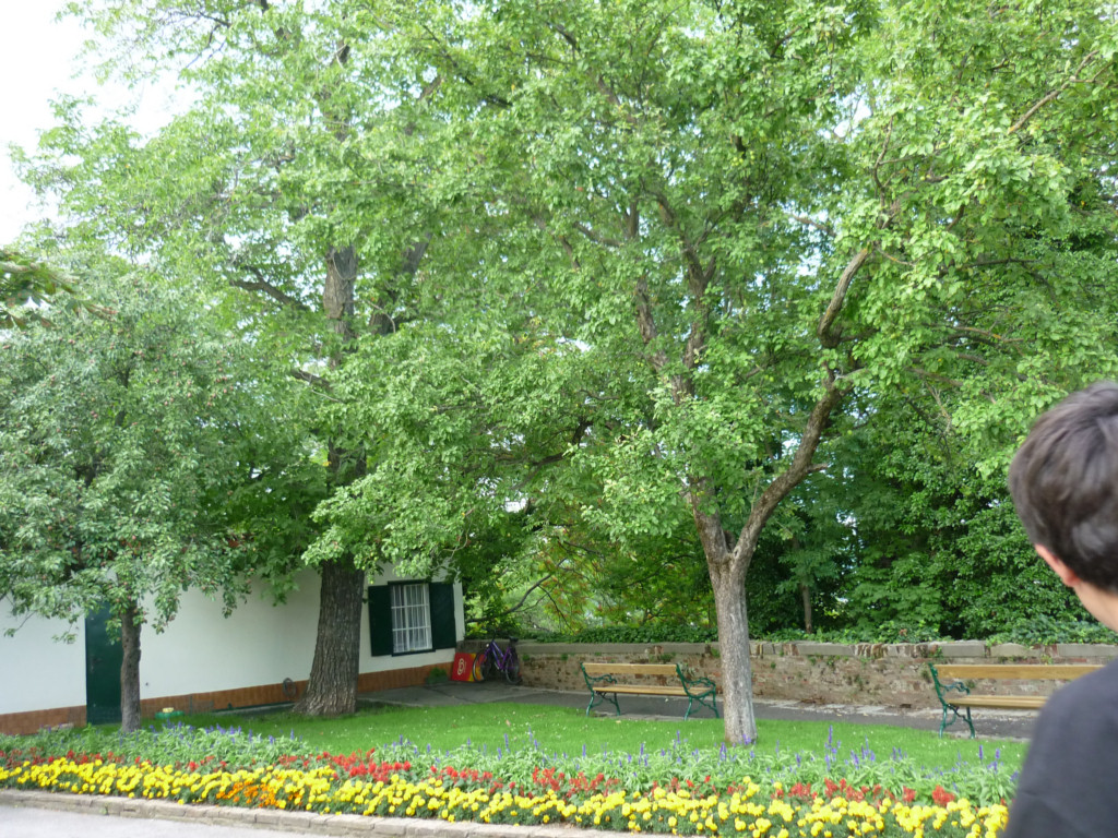 P7050378