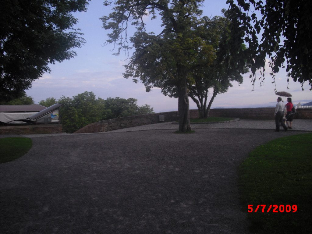P7050394